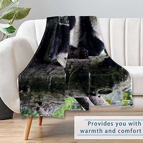Couverture bébé panda chaude et grand plaid lit canapé camping 150x100 - 7