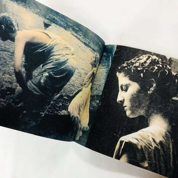 Amazon.co.jp: 新本デボラターバヴィル/Deborah Turbeville/Le Passe