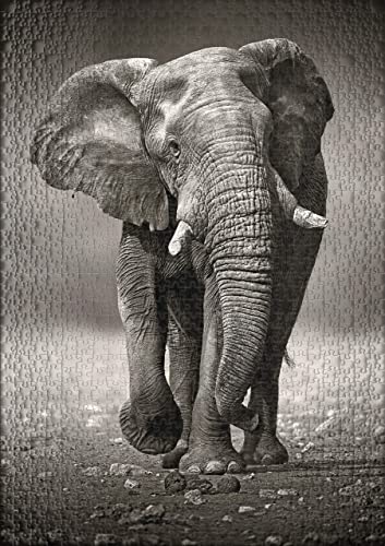 huobeibei Puzzle - Éléphant approchant impressionnant en photographie en noir et blanc3000 pièces Cover