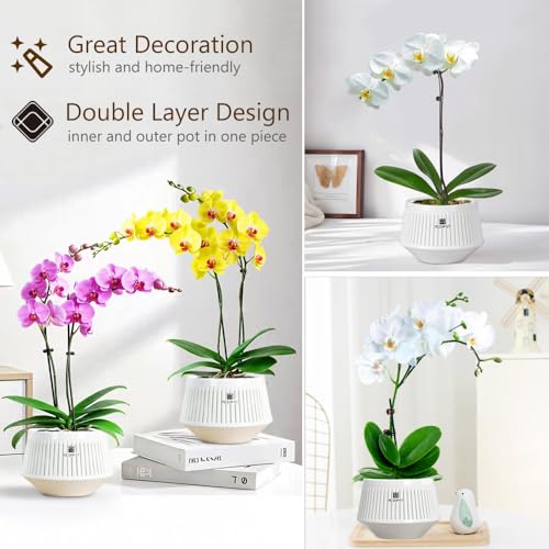 Meshpot Orchid Pots with Holes for Repotting, Decorative African Violet Pots with Air-Pruning and Good Air Circulation, Plastic White Orchid Planter with Saucers, 5 Inch, Set of 3 by Meshpot - Image 6