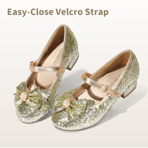 Image of DREAM PAIRS Girls Dress Shoes Princess Shoes for Toddler Little Girl Mary Jane Low Heels Glitter Flower Party Wedding Footwear