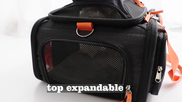 Amazon.com : pidipiti 17x13x8 Soft-Sided pet Carrier,for 1 Extra