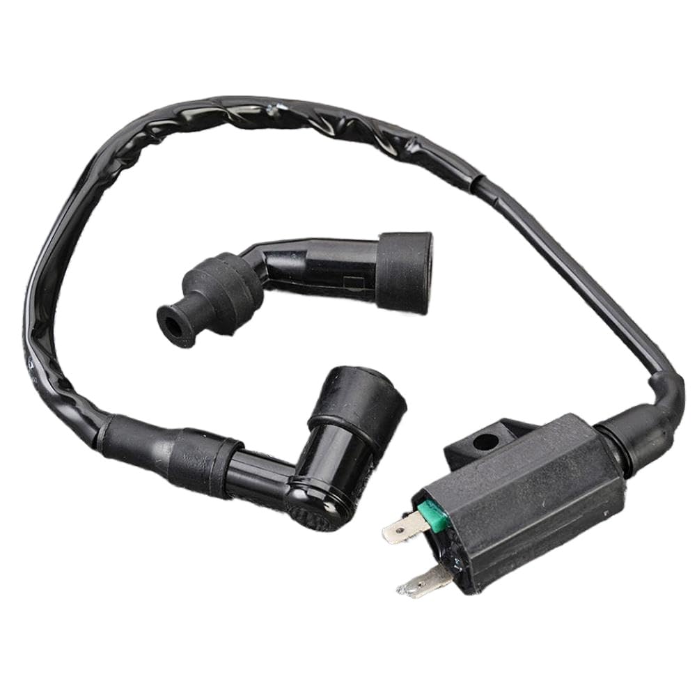 Conjunto de bobina de encendido compatible con LT-F250 Ozark 250 LT-Z250 QuadSport 250 LT-4WD LT-F4WD QuadRunner 33410-05G00 33410-42A00 22AV0