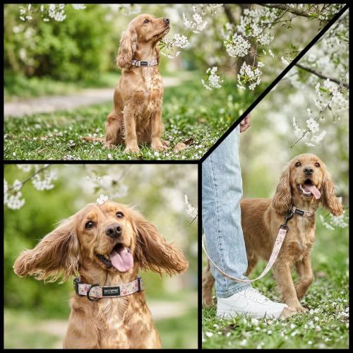Image of Tuff Pupper Premium Adjustable Dog Collar, Stylish Pattern Collars Designed in USA, Quick Release Buckle, Petal Blush Small (0.7 Inch Wide x 8-12 Inch Neck)