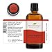 Plant Therapy Germ Fighter Essential Oil Blend 100% Pure, Undiluted, Natural Aromatherapy, Therapeutic Grade 100 mL (3.3 oz)