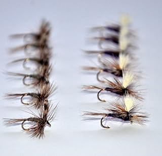 Outdoor Planet 12 Pieces Top Rating Dry/Nymph/Streamer Fly Fishing Flies Trout Fly Assortment