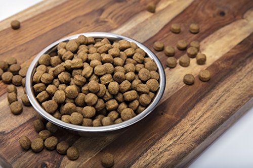 Best Dog Foods for Cockapoos to Purchase in 2021 9 51zMGXMn2OL