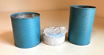 Amazon.co.jp: リメ缶、リメイク缶、多肉植物(3個) : 食品・飲料