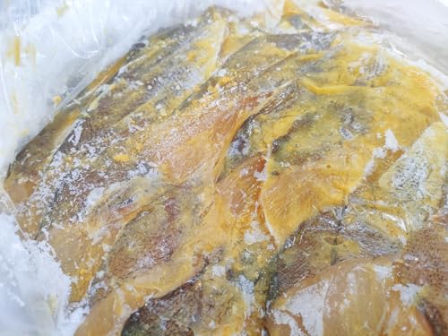 @琼Ђ 40 @ @_ @ @^ @L XP\E_ Ђ  Ђ Ћ ċ Ă yYt[Y z