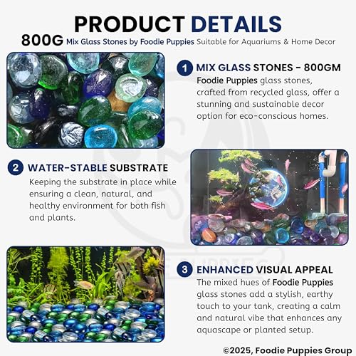 Image of Foodie Puppies Flat Glass Clear Stone for Aquariums, Fireplace, Firepit Glass for Indoor and Outdoor, Vase Filler, Hydroponics Plants, Home Decor and DIY Craft (800gm, Mix) (Glass Stone)