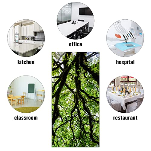 Image of Fluorescent Light Covers for Classroom Office - Eliminate Harsh Glare Causing Eyestrain and Headaches. School-Office-Indoor Ceiling Lamp DecorationGiant Trees