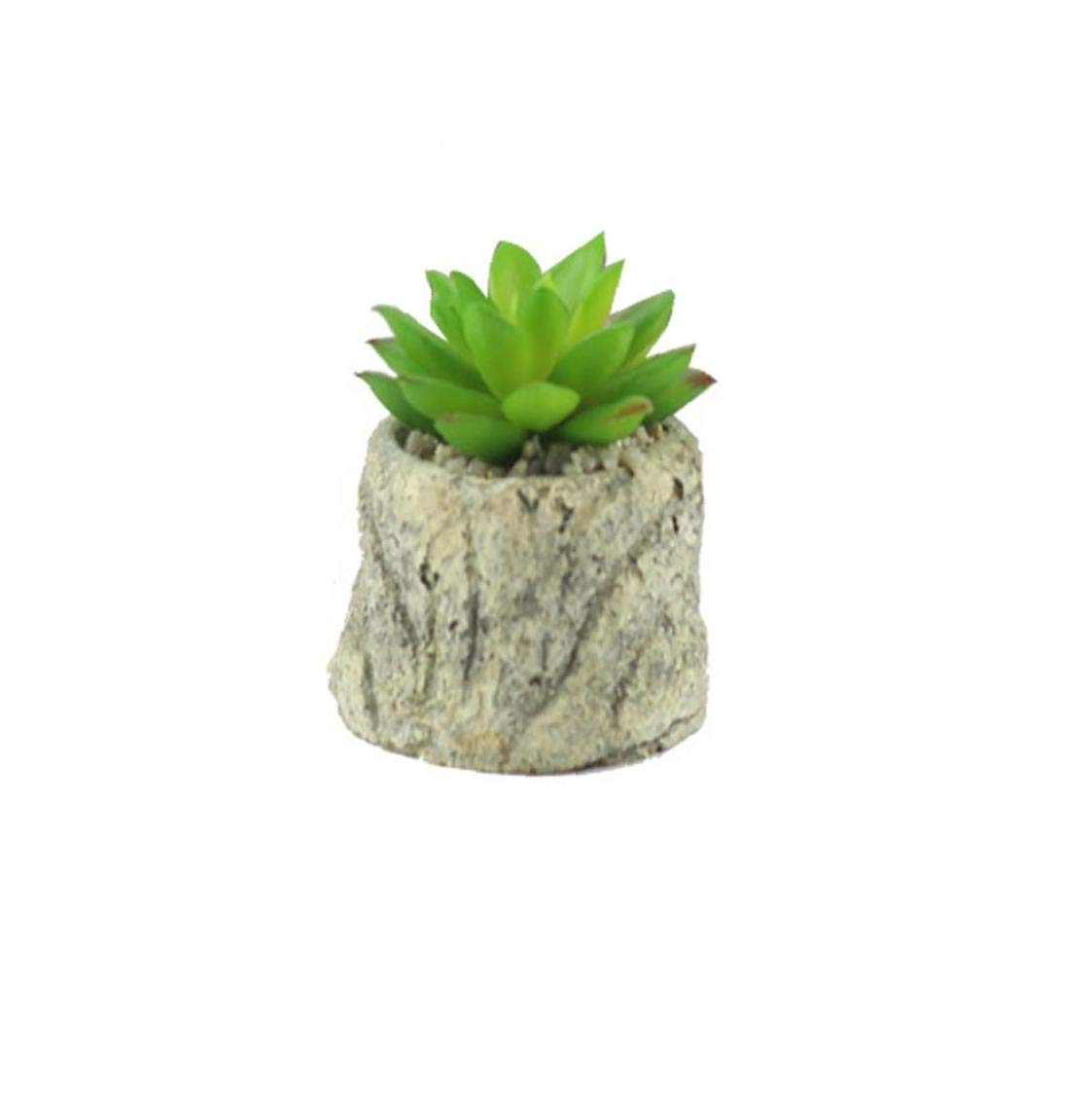Garden Ornaments Potted Bonsai Plants Simulation Creative Ceramic Pots Fleshy Desktop Decor Shilian Round Porcelain Basin