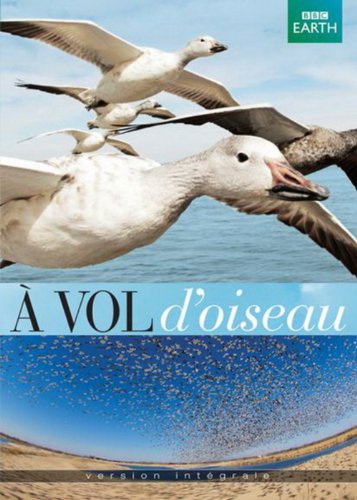A VOL DOISEAU [DVD]