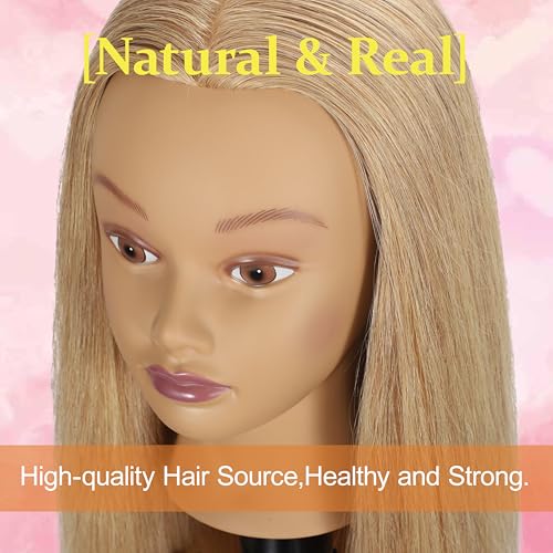 mannequin head human hair 2434 100 human hair mannequin headcosmetology mannequin head doll head for hair styling hairdresser manikin head with free clamp holderblonde