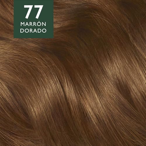 Coloración, Office Product Imagen adicional