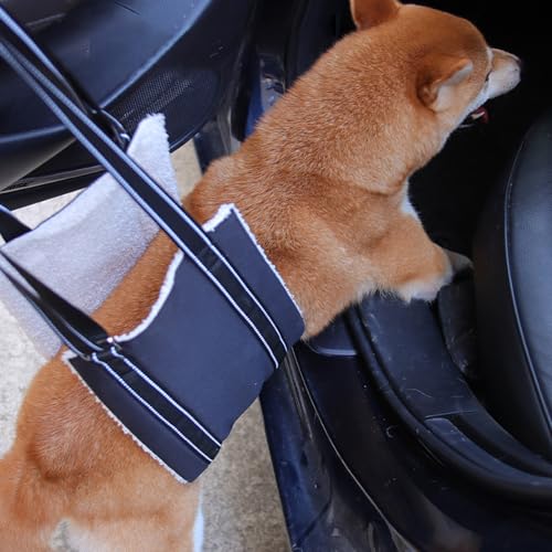 MHwan Tragehilfe Hund, Einstellbare Hunde Tragehilfe für die Unterstützung Von Behinderten und Älteren Hunden, um Sicherheitsunterstützung für Kleine, Mittlere und Große Hunde zu Unterstützen (M)