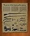 Our Amendments Weapons of the American Revolution 14x16