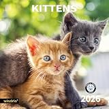 2026 Wall Calendar,Calendar 2026, November 2025 - December 2026, Wall Calendar Kittens, 12' x 24' Opened,Full Page Months Thick & Sturdy Paper for Gift Perfect Calendar Organizing & Planning