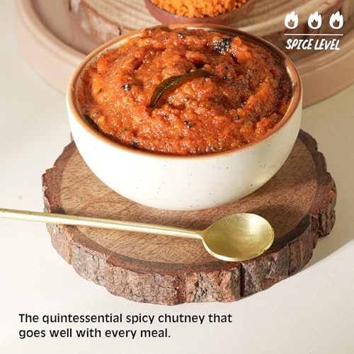 Image of Chutnefy Spicy Onion (Kara) Chutney | 250g Freeze-Dried Instant Dry Mix | Just Add Water to Make 20+ Servings (1000 g) | 0% Preservatives or Additives