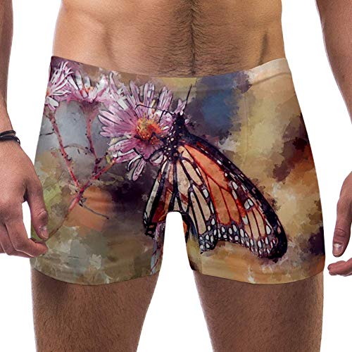 DragonSwordlinsu - Bañador para hombre, diseño de mariposas, monarca, bóxer Multicolor multicolor L