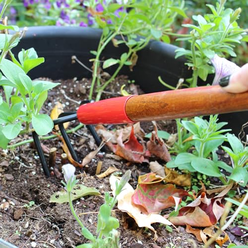 Cultivador forjado de 3 dientes 15 pulgadas miniatura 2