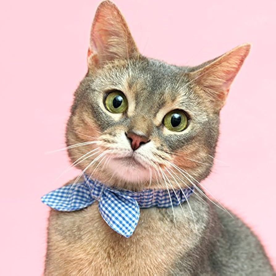 Amazon | 【猫の暮らし】サイズが変えれるシュシュカラー 《ネコ