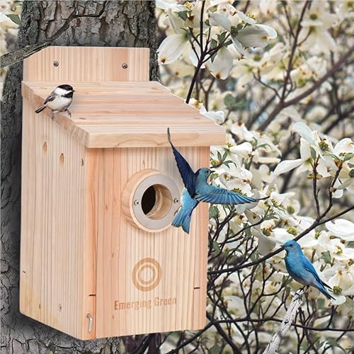 Best Birdhouses for Titmice: Which Ones Will Your Feathered Friends Love? 7 Emerging Green Bluebird Birdhouses for Outside - Clearance - Sturdy Wooden Bird Houses That Keep Critters Out - Heat Resistant - 2 Guards Protect Wrens & Titmice - Chickadee Nest Box