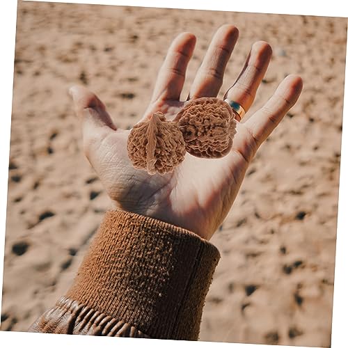 TOVINANNA 2pcs Walnut Fitness Hand Play Physical Ball Self Massage Wrist Exerciser Acupoint Ball Chinese Baoding Balls Wood Toy Acupoint Massage Toys Sports Walnut Core Ball