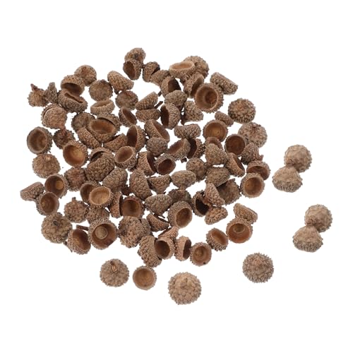 Adornos naturales de cáscara de bellota para manualidades 200 pzas miniatura 1