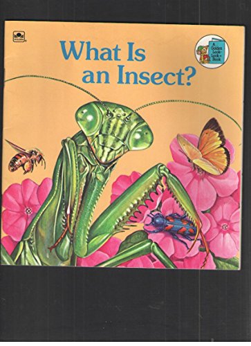 What Is an Insect? (Golden Look-Look Book) 0307118037 Book Cover