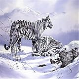 5000ピースの大人のためのパズルホワイトタイガー リラクゼーション瞑想レジャーのための理想的な教育ゲーム 子供大人のための 印刷の工芸品