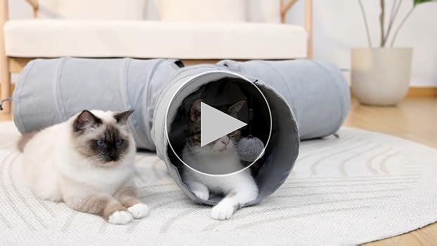 ネコ Amazon.co.jp: PAWZ Road 猫 トンネル キャットトンネル