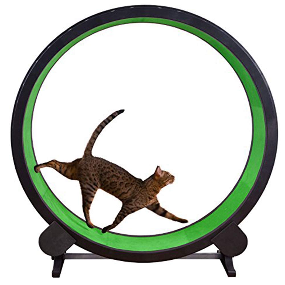 Ruota per Esercizi per Gatti - Struttura per Arrampicata e Giocattolo - Diametro 1,2 Metri