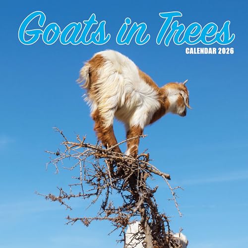 Goats in Trees 2026 Calendar