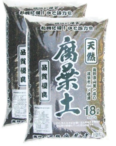 ���t�y18�k���Q�@�M�B�Y�����t100���@���R���y���i