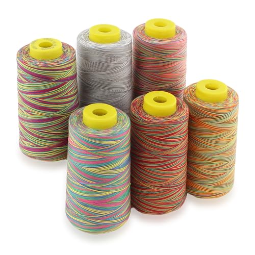 Hilos de Costura de Poliéster Multicolor, 6 Conos 3000yd miniatura 1