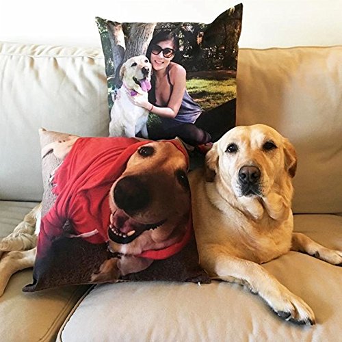 Shop&Three Custom Design Photos Or Text Outdoor/Indoor Throw Pillowcase,Personalized Pet Photo Pillow, Love Photo Throw Pillow,Wedding Keepsake Throw Pillow (14" X 14") #TOP3