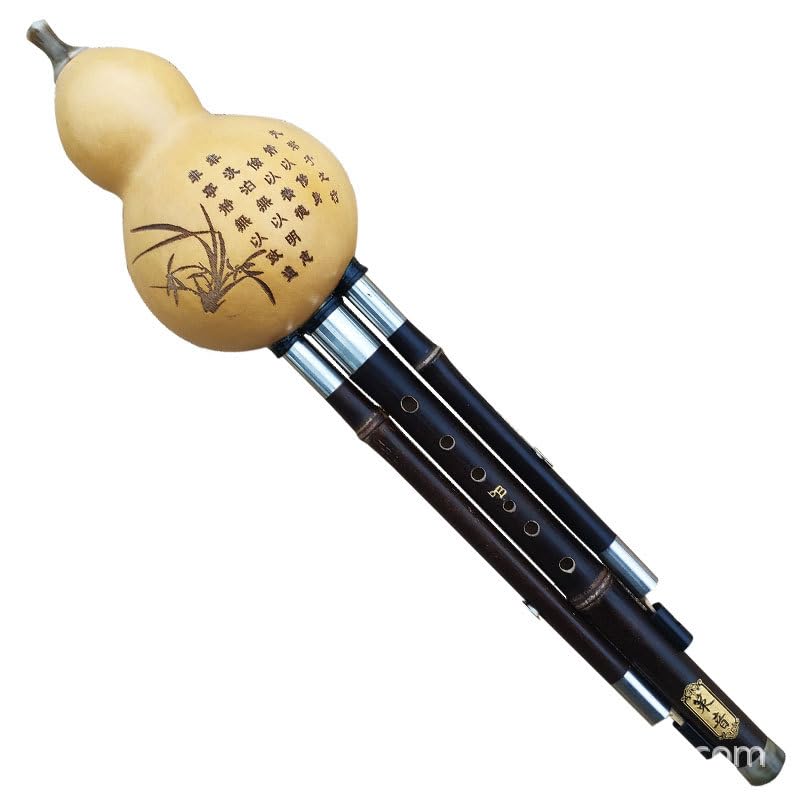 Hulusi Gourd Flute Dual Tone, Black Calabash Wind Instrument with Bamboo Pipes, Key Options C Bb G F, Chinese Folk Free Reed Woodwind for Practice Ensemble Stage Travel, 1 Pc (C Key)