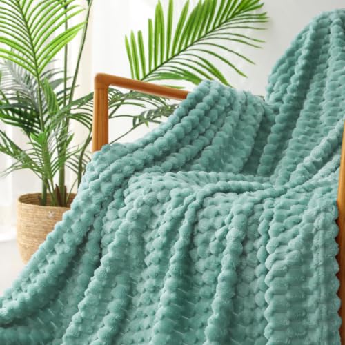 Image of Exclusivo Mezcla 3D Fleece Queen Size Blanket for Bed, Celadon | Extra Soft Fuzzy Plush Lightweight Bed Blankets, Cozy Fluffy Decorative Blankets for All Seasons, 90x90 Inches