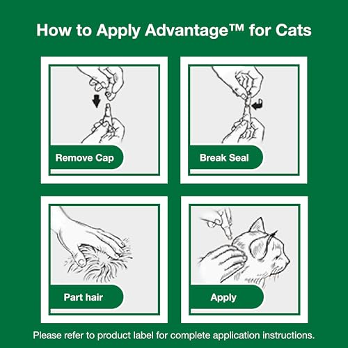 Advantage Topical Cat Flea Treatment and Prevention for Large Cats Over 9 lbs. | Apply Flea Drops Monthly | 2 Treatments,(Pack of 3) - image 6