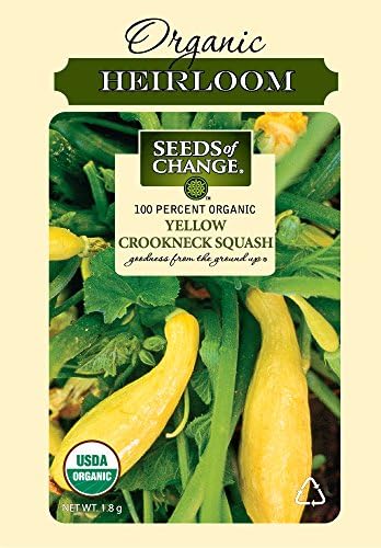 Seeds of Change 1068 Certified Organic Yellow Crookneck Summer Squash