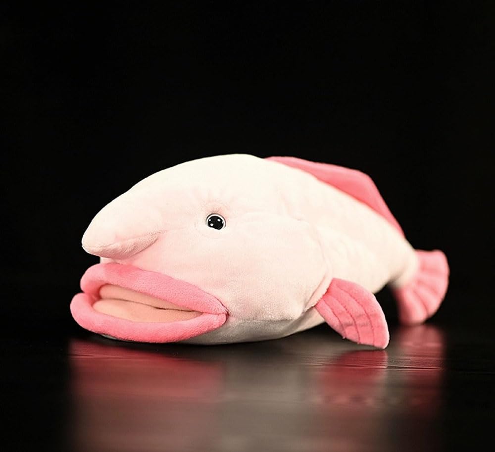 深海魚 ニュウドウカジカ ブロブフィッシュ 道化師 ピエロ 絵画 画家 ホラー 世界一醜い生き物」から「今年の魚」に ニュウドウカジカ、NZの投票