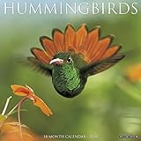 Hummingbirds 2018 Calendar