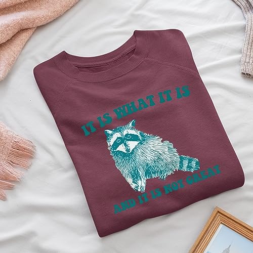 It Is What It Is And It Is Not Great - Vintage Drawing Sweatshirt, Raccoon Meme Sweatshirt, Funny Trash Panda Sweatshirt, Unisex Sweatshirt3