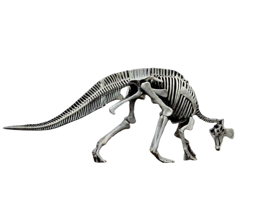 Amazon | BACALYSO | VWUVWU 1/20 サイズ チンタオサウルスVS