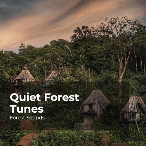 Amazon Music Unlimited Forest Sounds, Ambient Forest & Rainforest