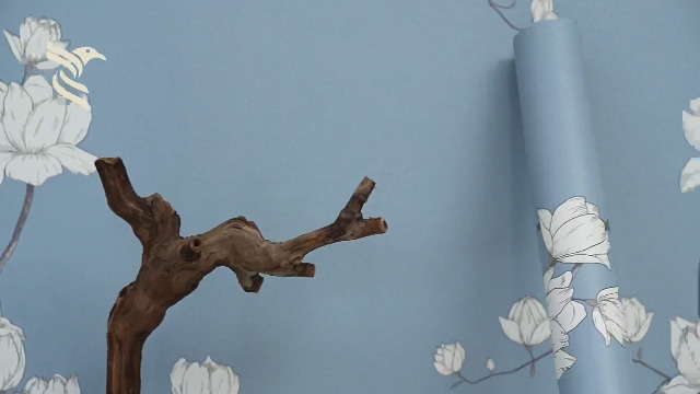 Selbstklebende Tapete Grüner Pilz Wald - Vinyl Wandfolie Für Möbel & Wände