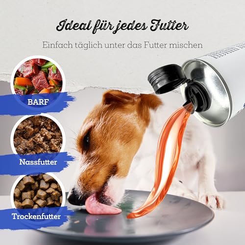 NordicVital Premium Lachsöl Hunde & Katzen 1000ml Weißblechdose – 100% Natürliches Fischöl/Fish Oil aus Norwegen Lachs – Reich an Omega 3&6 Fettsäuren – Barf Öl abgefüllt in Deutschland
