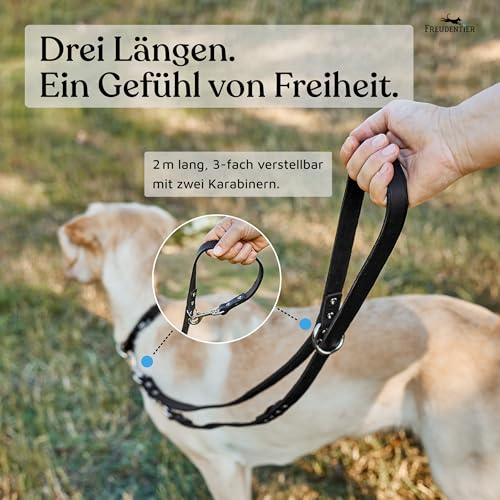 FREUDENTIER Hundeleine Leder 2m - Lederleine verstellbar - Führleine aus Fettleder für kleine, mittelgroße & große Hunde - Alsterufer Kollektion (Midnight, 16mm breit)