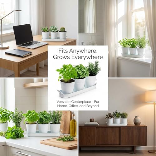 Image of Hiceeden Set of 3 Herb Garden Planter with Labels, Indoor Herb Pots with Drainage Holes, Metal Herb Garden Set with Tray for Windowsill or Countertop, White